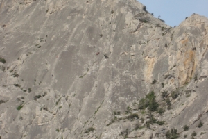 DSC00415