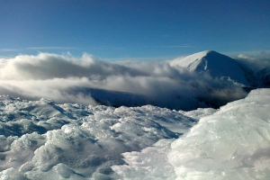 09012011118 (Copy)