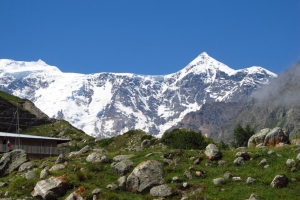 IMG_1716 (Copy)